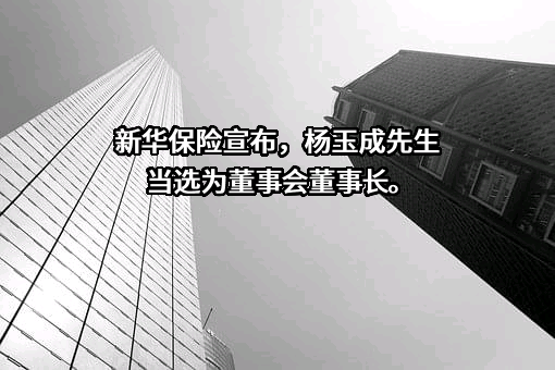 新华人寿保险股份有限公司