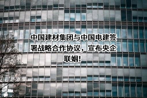 中国建材国际工程集团有限公司