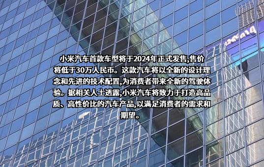 小米汽车有限公司
