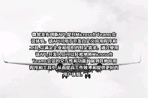微软（中国）有限公司