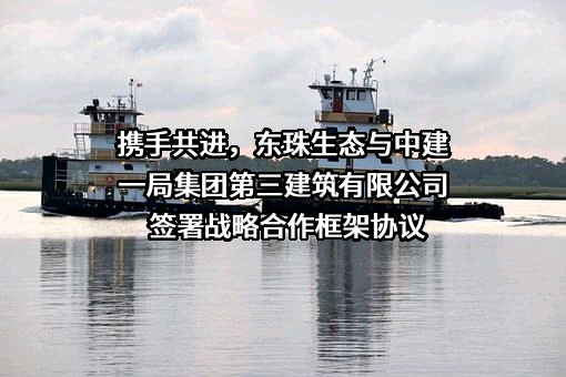 东珠生态环保股份有限公司