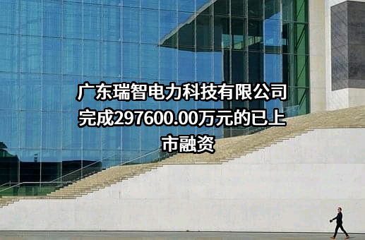 广东瑞智电力科技有限公司