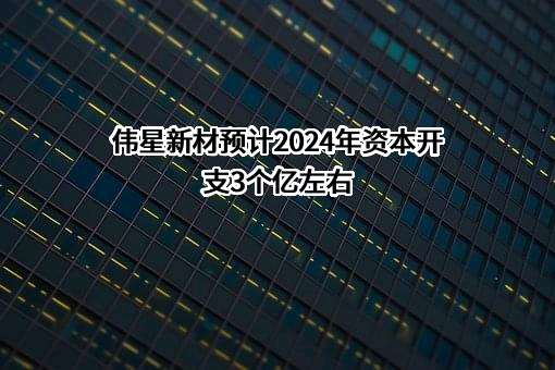 浙江伟星新型建材股份有限公司