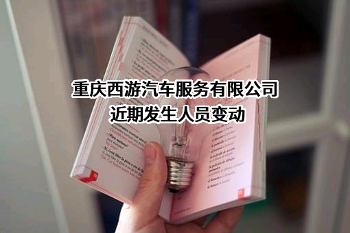 重庆西游汽车服务有限公司