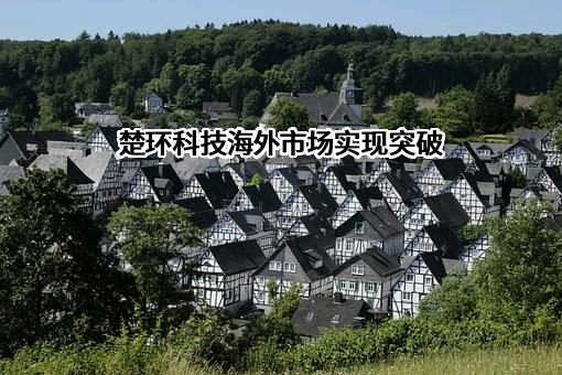 杭州楚环科技股份有限公司