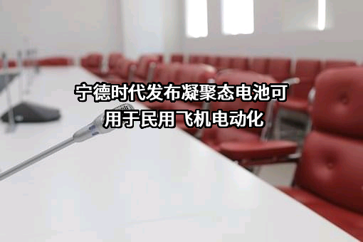 宁德时代新能源科技股份有限公司