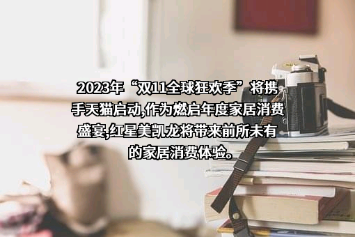 红星美凯龙家居集团股份有限公司