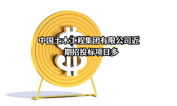中国土木工程集团有限公司
