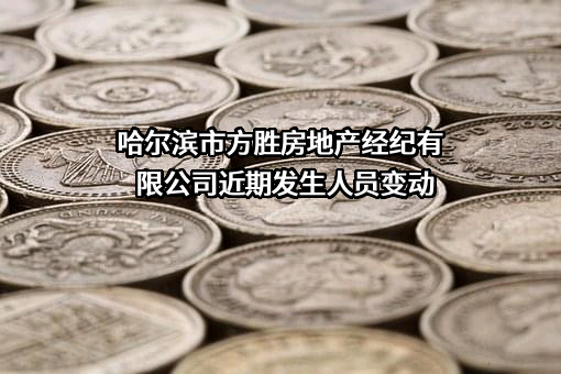 哈尔滨市方胜房地产经纪有限公司