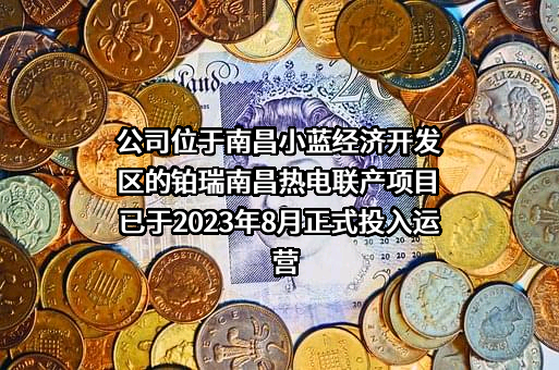 浙江富春江环保热电股份有限公司