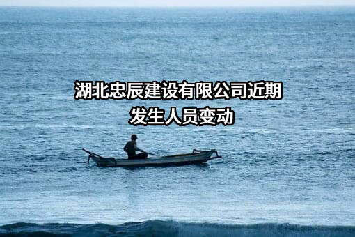 湖北忠辰建设有限公司