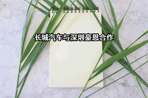 深圳市豪恩汽车电子装备股份有限公司