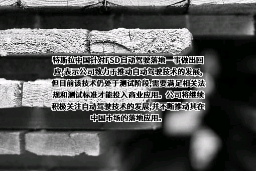 特斯拉（上海）有限公司