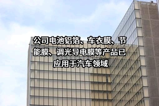 汕头万顺新材集团股份有限公司