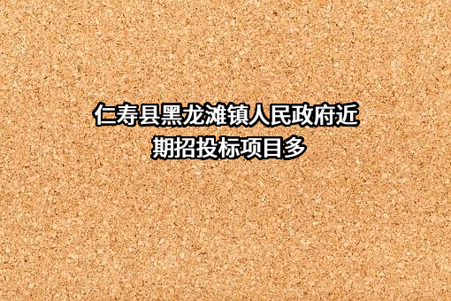 仁寿县黑龙滩镇人民政府近期招投标项目多