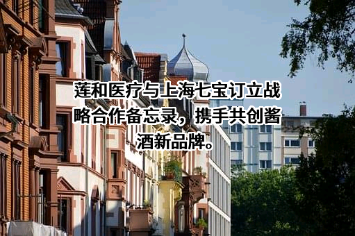 莲和医疗健康集团有限公司