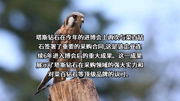 北京菜市口百货股份有限公司