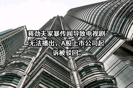 苏州传视影视传媒股份有限公司