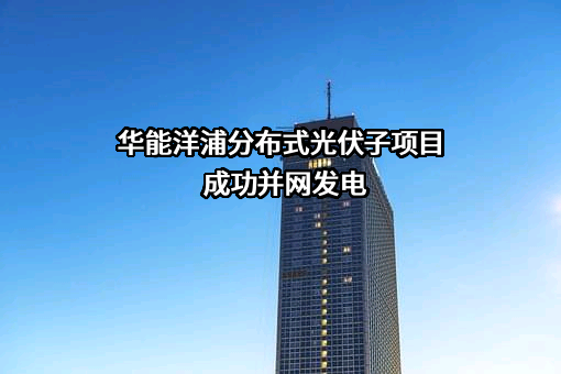 华能洋浦热电有限公司