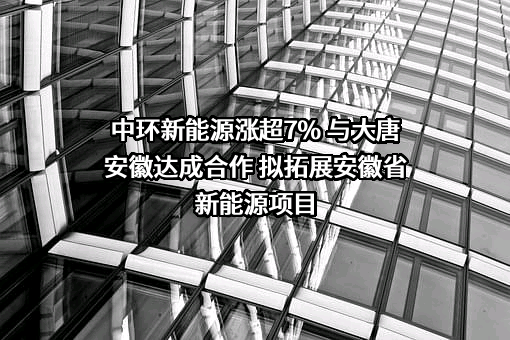 宝利鑫新能源开发有限公司