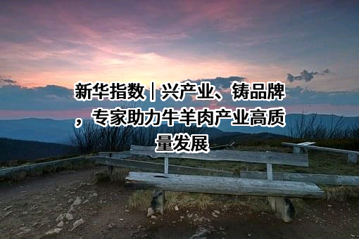 新华指数(北京)有限公司