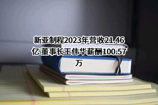 新亚制程（浙江）股份有限公司