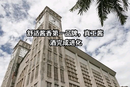 贵州真工酒业有限公司