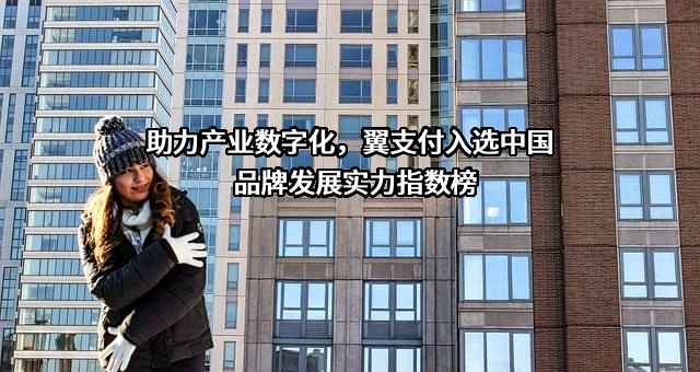 天翼电子商务有限公司