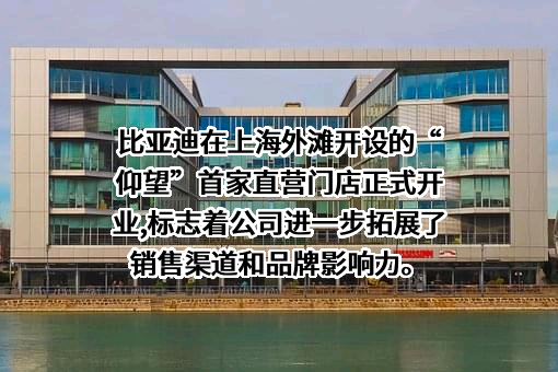 比亚迪股份有限公司