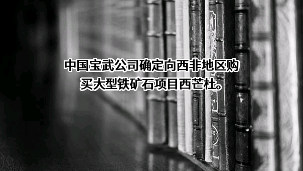 宝武资源有限公司