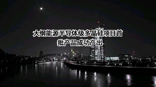 新疆大全新能源股份有限公司