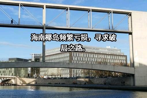 海南椰岛（集团）股份有限公司