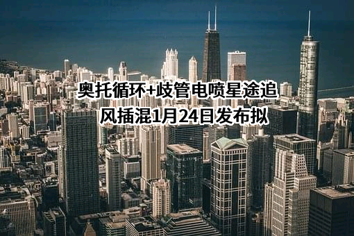 沈阳市星途汽车服务有限公司