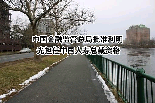 中国人寿保险（集团）公司