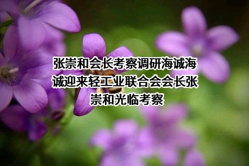 中国海诚工程科技股份有限公司