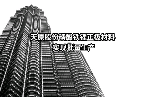 宜宾天原集团股份有限公司