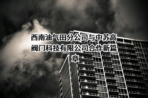 中苏高（重庆）阀门科技有限公司