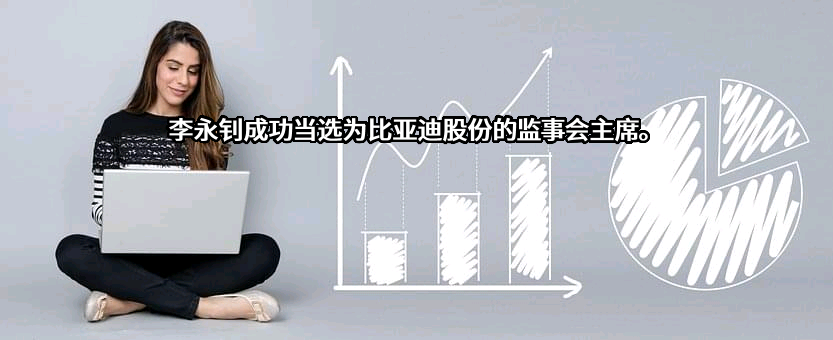 比亚迪股份有限公司