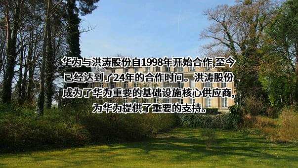 深圳洪涛集团股份有限公司