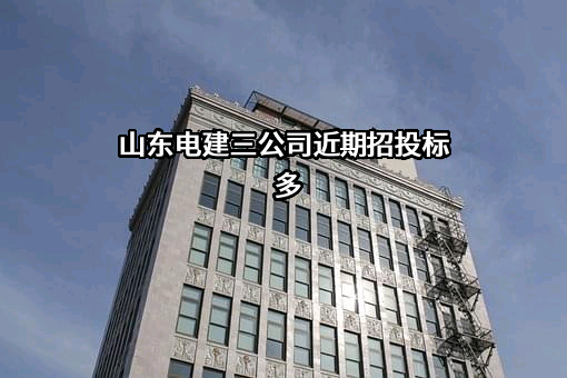 山东电建三公司