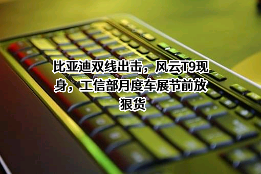 比亚迪股份有限公司