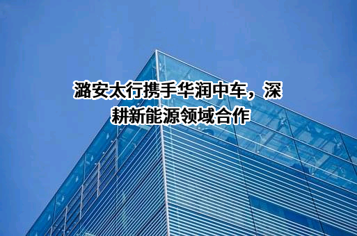 中车株洲电力机车研究所有限公司