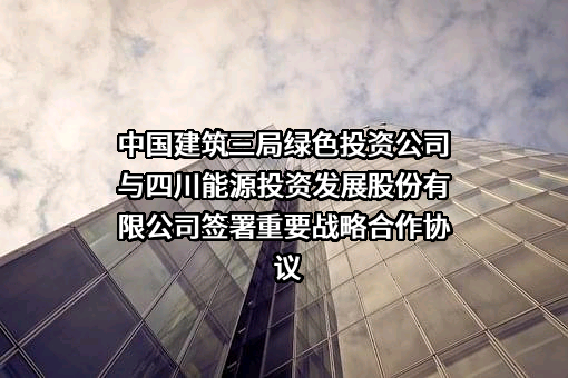 四川能投发展股份有限公司