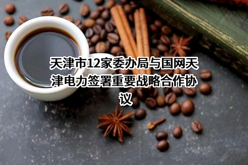 国网天津市电力公司