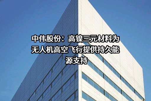 中伟新材料股份有限公司
