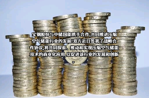宝山钢铁股份有限公司