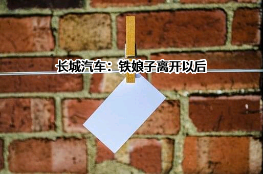 长城汽车股份有限公司