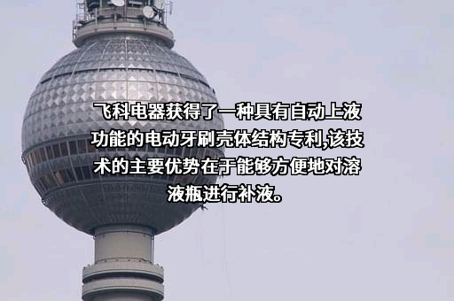 上海飞科电器股份有限公司