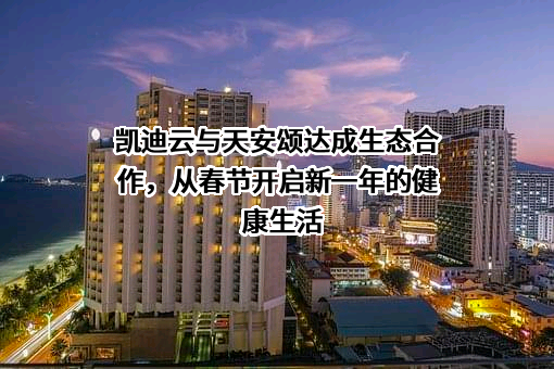 广州凯迪云信息科技有限公司