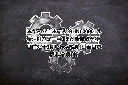 江苏恩华药业股份有限公司
